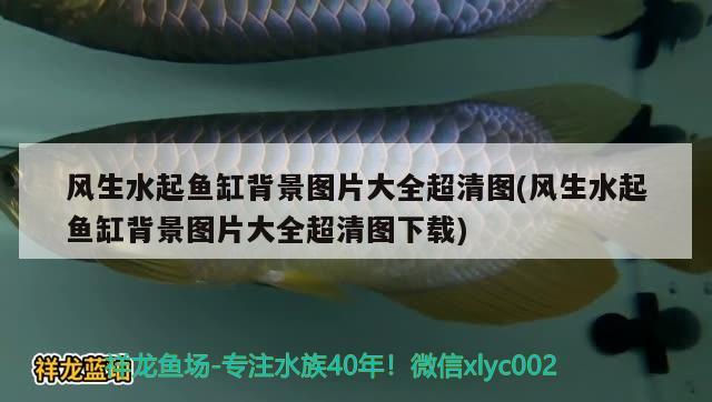 風(fēng)生水起魚(yú)缸背景圖片大全超清圖(風(fēng)生水起魚(yú)缸背景圖片大全超清圖下載)