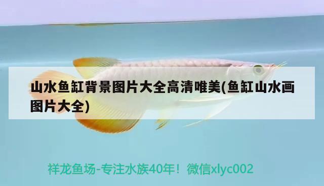 山水魚(yú)缸背景圖片大全高清唯美(魚(yú)缸山水畫(huà)圖片大全) 黑桃A魚(yú)