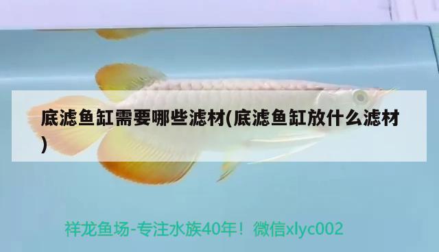 底濾魚缸需要哪些濾材(底濾魚缸放什么濾材) 龍鳳鯉魚