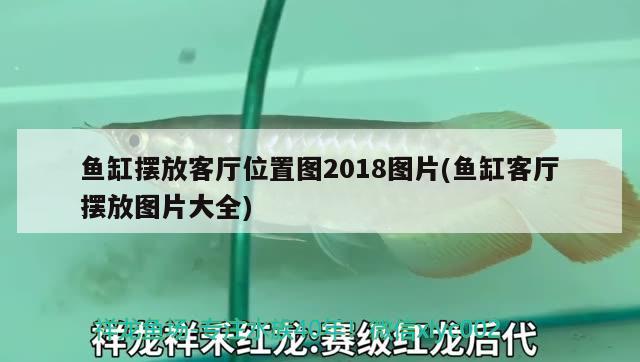 魚缸擺放客廳位置圖2018圖片(魚缸客廳擺放圖片大全) 錦鯉魚百科