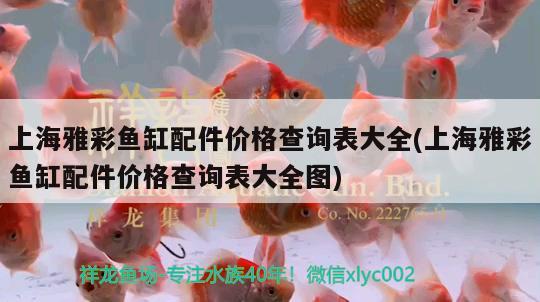 上海雅彩魚缸配件價格查詢表大全(上海雅彩魚缸配件價格查詢表大全圖) 廣州祥龍國際水族貿(mào)易