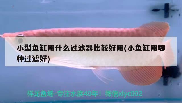 小型魚缸用什么過濾器比較好用(小魚缸用哪種過濾好)