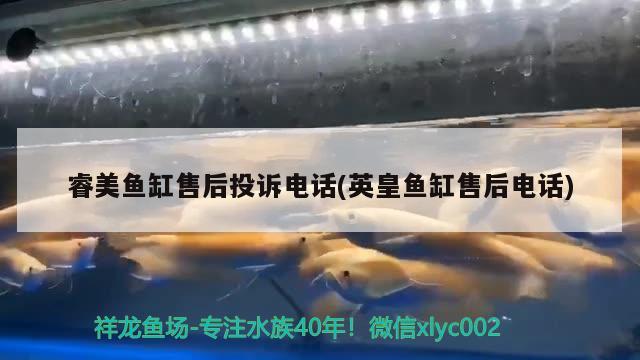 睿美魚缸售后投訴電話(英皇魚缸售后電話) 錦鯉池魚池建設(shè)