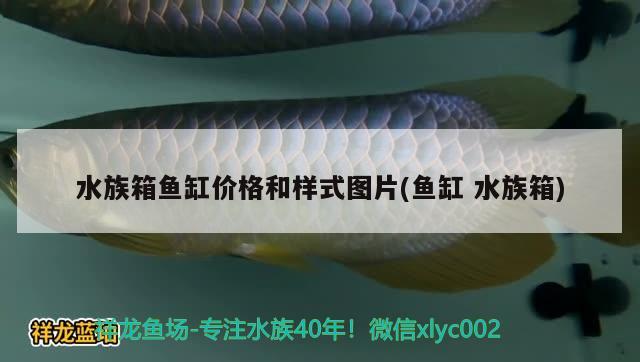 水族箱魚缸價格和樣式圖片(魚缸水族箱) 魚缸/水族箱