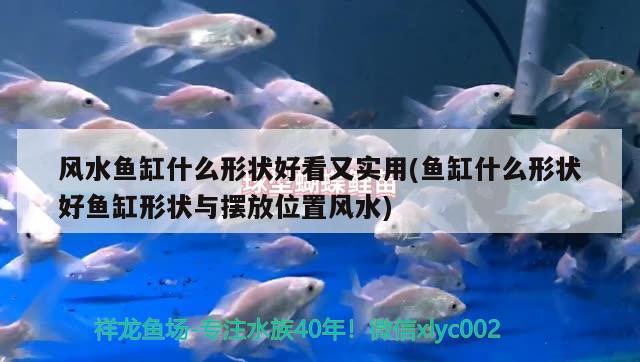 風水魚缸什么形狀好看又實用(魚缸什么形狀好魚缸形狀與擺放位置風水) 魚缸風水