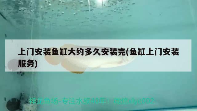 上門安裝魚缸大約多久安裝完(魚缸上門安裝服務(wù)) 飛鳳魚苗