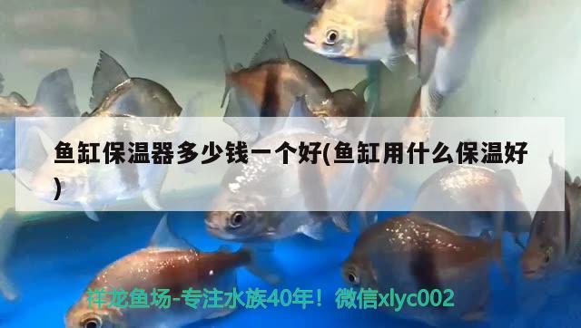 魚(yú)缸保溫器多少錢(qián)一個(gè)好(魚(yú)缸用什么保溫好) 魚(yú)缸水質(zhì)穩(wěn)定劑