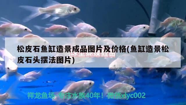 松皮石魚缸造景成品圖片及價(jià)格(魚缸造景松皮石頭擺法圖片) 金三間魚