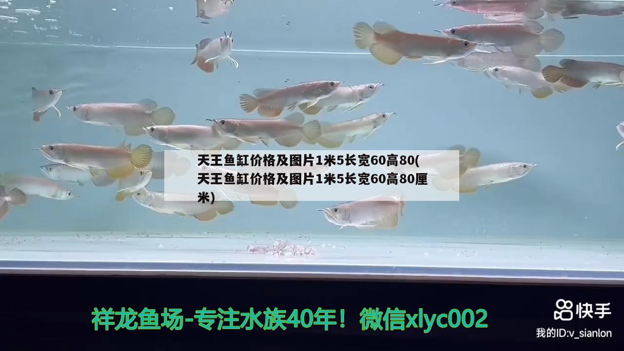 天王魚(yú)缸價(jià)格及圖片1米5長(zhǎng)寬60高80(天王魚(yú)缸價(jià)格及圖片1米5長(zhǎng)寬60高80厘米)