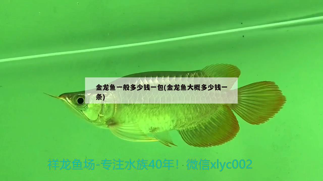 金龍魚一般多少錢一包(金龍魚大概多少錢一條) 祥龍魚場(chǎng)品牌產(chǎn)品 第1張