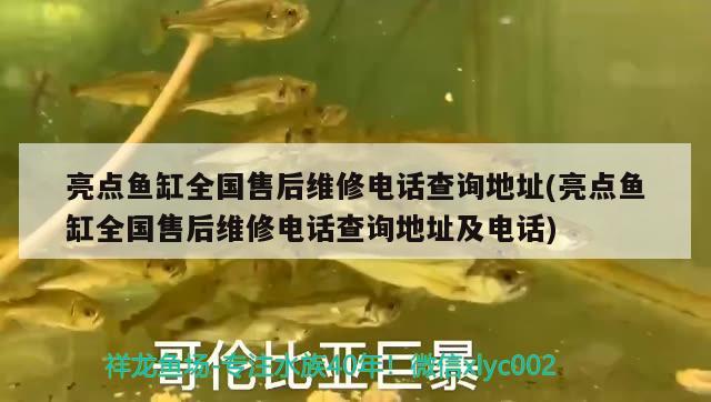 亮點魚缸全國售后維修電話查詢地址(亮點魚缸全國售后維修電話查詢地址及電話) 祥龍水族護(hù)理水