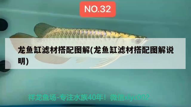 龍魚缸濾材搭配圖解(龍魚缸濾材搭配圖解說明)