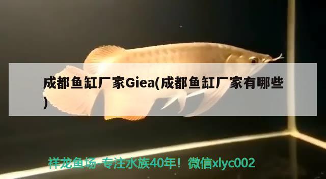 成都魚缸廠家Giea(成都魚缸廠家有哪些) 祥龍龍魚專用水族燈