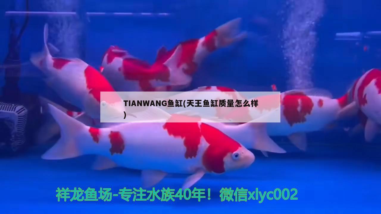 TIANWANG魚(yú)缸(天王魚(yú)缸質(zhì)量怎么樣)