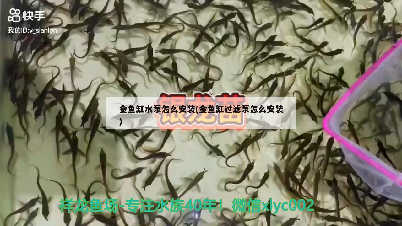 金魚缸水泵怎么安裝(金魚缸過(guò)濾泵怎么安裝) 魚缸水泵