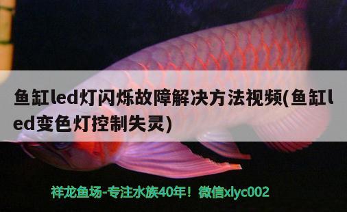 魚缸led燈閃爍故障解決方法視頻(魚缸led變色燈控制失靈) 祥龍傳奇品牌魚缸