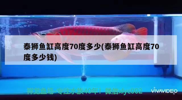 泰獅魚缸高度70度多少(泰獅魚缸高度70度多少錢) 帝王三間魚