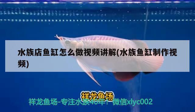 水族店魚缸怎么做視頻講解(水族魚缸制作視頻)