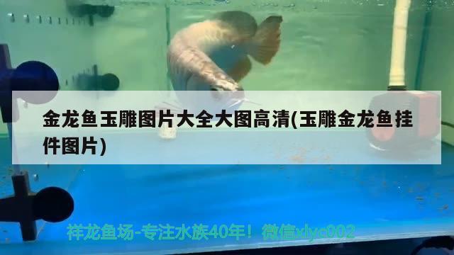 金龍魚玉雕圖片大全大圖高清(玉雕金龍魚掛件圖片)