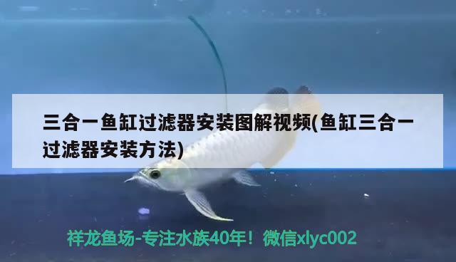 三合一魚缸過濾器安裝圖解視頻(魚缸三合一過濾器安裝方法)