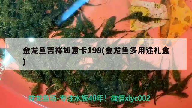 金龍魚吉祥如意卡198(金龍魚多用途禮盒)