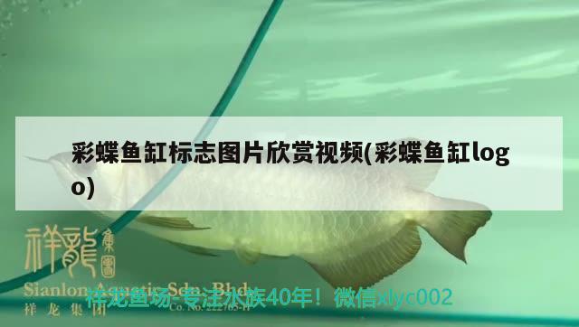 彩蝶魚(yú)缸標(biāo)志圖片欣賞視頻(彩蝶魚(yú)缸logo)