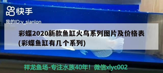 彩蝶2020新款魚缸火鳥系列圖片及價格表(彩蝶魚缸有幾個系列) 銀龍魚百科