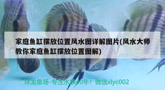 家庭魚缸擺放位置風(fēng)水圖詳解圖片(風(fēng)水大師教你家庭魚缸擺放位置圖解) 魚缸風(fēng)水