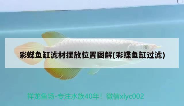 彩蝶魚缸濾材擺放位置圖解(彩蝶魚缸過濾) 魚缸凈水劑