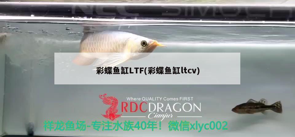 彩蝶魚缸LTF(彩蝶魚缸ltcv)