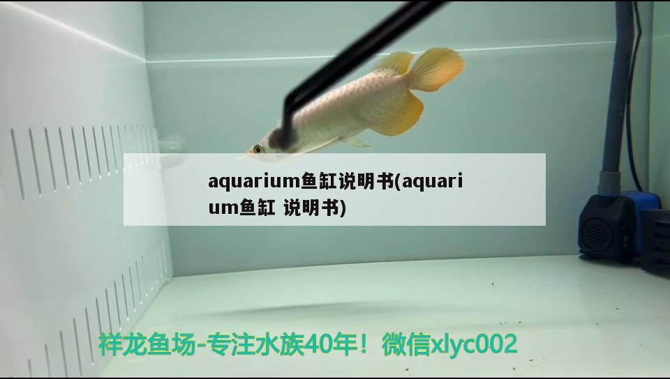 aquarium魚缸說明書(aquarium魚缸說明書) 杰西卡恐龍魚