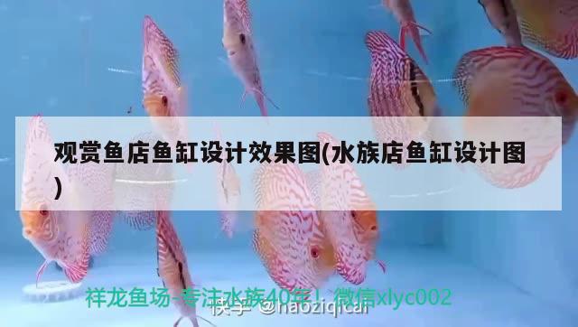 觀賞魚店魚缸設(shè)計(jì)效果圖(水族店魚缸設(shè)計(jì)圖)