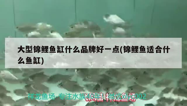 大型錦鯉魚缸什么品牌好一點(錦鯉魚適合什么魚缸)