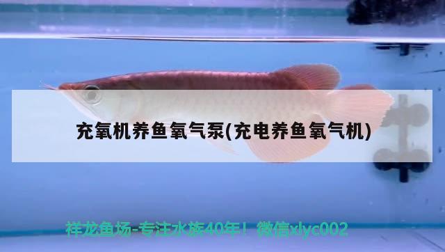 充氧機(jī)養(yǎng)魚氧氣泵(充電養(yǎng)魚氧氣機(jī))