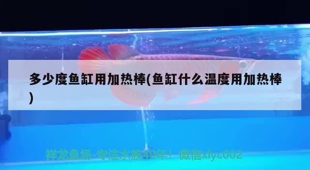 多少度魚缸用加熱棒(魚缸什么溫度用加熱棒)