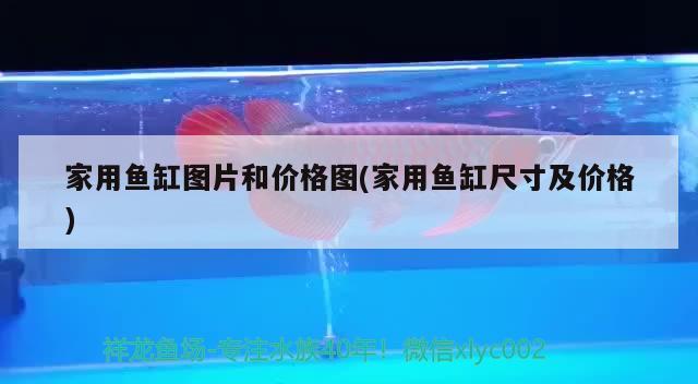 家用魚缸圖片和價格圖(家用魚缸尺寸及價格) 虎斑恐龍魚