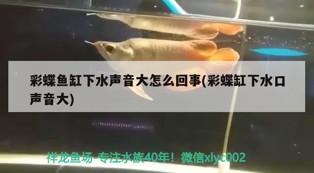 彩蝶魚缸下水聲音大怎么回事(彩蝶缸下水口聲音大)