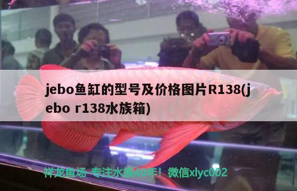 jebo魚缸的型號及價格圖片R138(jebor138水族箱)