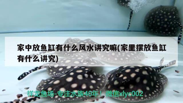 家中放魚缸有什么風(fēng)水講究嘛(家里擺放魚缸有什么講究)