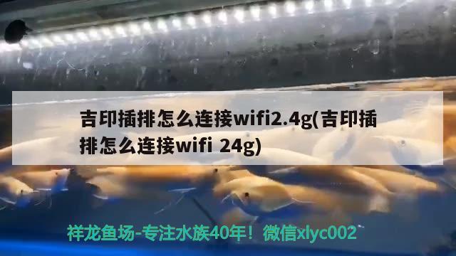 吉印插排怎么連接wifi2.4g(吉印插排怎么連接wifi24g)