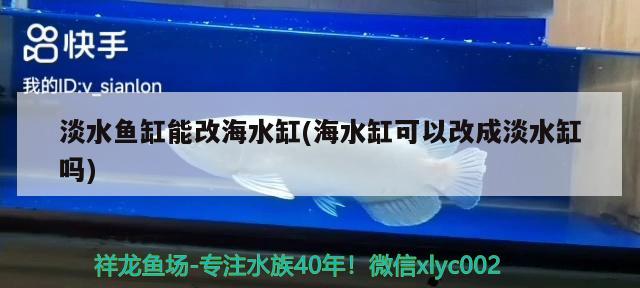 淡水魚缸能改海水缸(海水缸可以改成淡水缸嗎) 藍底過背金龍魚