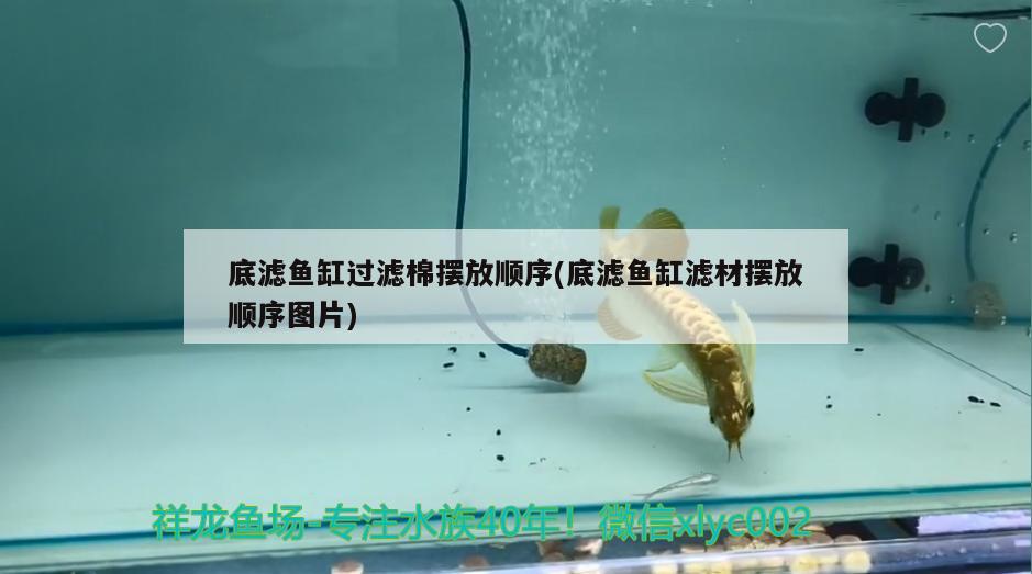 底濾魚缸過濾棉擺放順序(底濾魚缸濾材擺放順序圖片) 二氧化碳設(shè)備