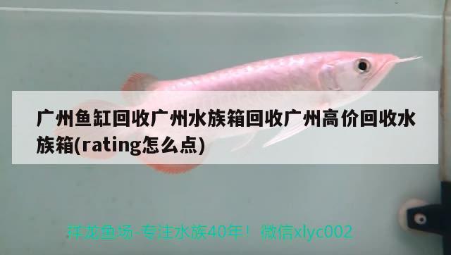 廣州魚缸回收廣州水族箱回收廣州高價(jià)回收水族箱(rating怎么點(diǎn))