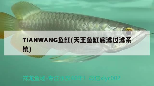 TIANWANG魚(yú)缸(天王魚(yú)缸底濾過(guò)濾系統(tǒng))