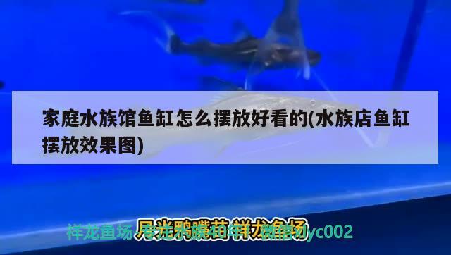 家庭水族館魚缸怎么擺放好看的(水族店魚缸擺放效果圖) 水溫計