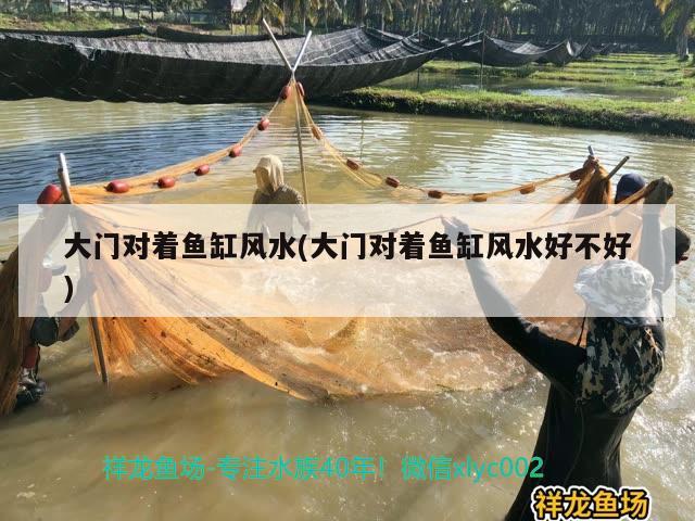 大門對著魚缸風(fēng)水(大門對著魚缸風(fēng)水好不好)