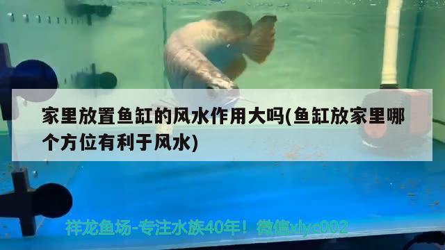 家里放置魚缸的風(fēng)水作用大嗎(魚缸放家里哪個方位有利于風(fēng)水) 魚缸風(fēng)水