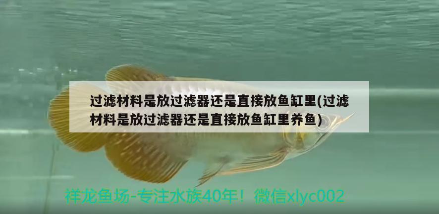 過(guò)濾材料是放過(guò)濾器還是直接放魚(yú)缸里(過(guò)濾材料是放過(guò)濾器還是直接放魚(yú)缸里養(yǎng)魚(yú)) 魚(yú)缸/水族箱