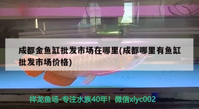 成都金魚缸批發(fā)市場在哪里(成都哪里有魚缸批發(fā)市場價格)