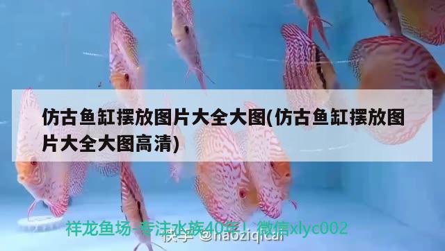 仿古魚缸擺放圖片大全大圖(仿古魚缸擺放圖片大全大圖高清) 觀賞魚飼料